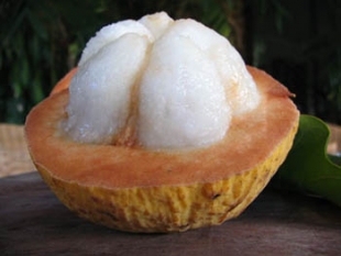 Фрукт сантол (тайское яблоко, Kechapi, Santol)
