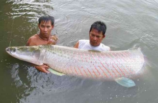 Рыбалка в Паттайе